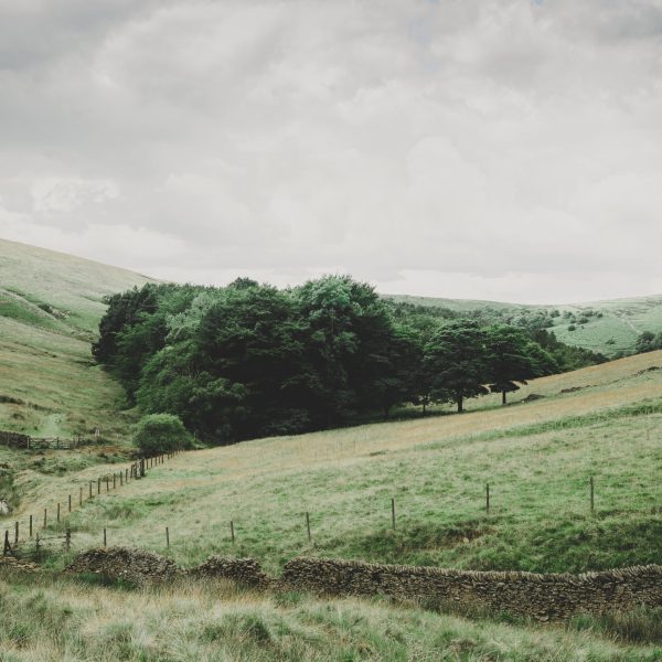 Peak District hills and trees