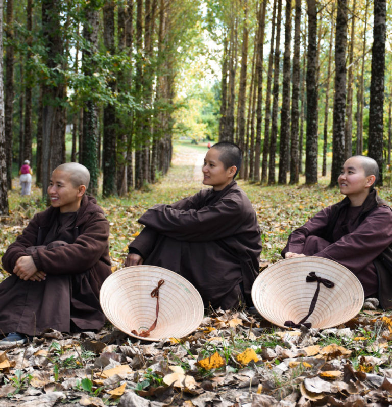 Donations for Plum Village Plum Village UK