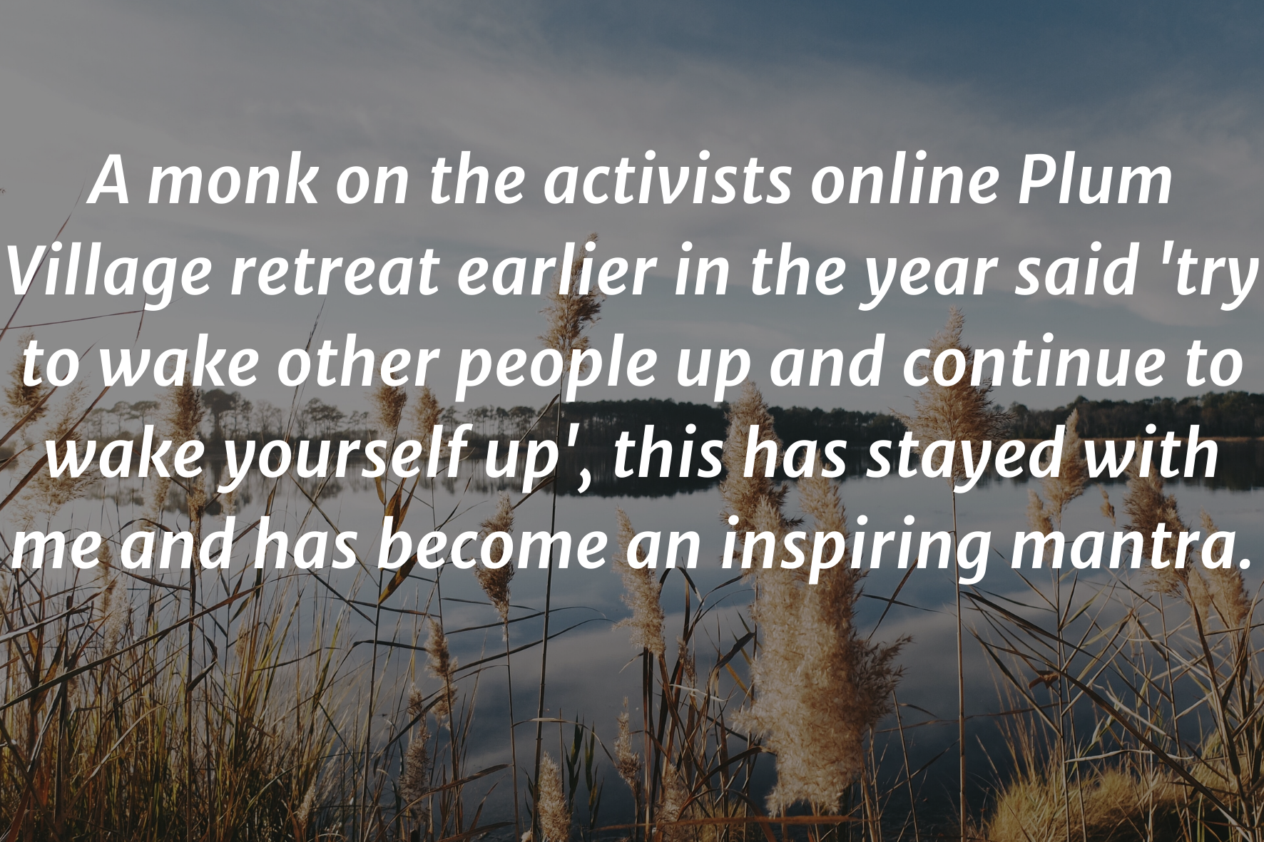 image of a lake with text saying: "A monk on the activists online Plum Village retreat earlier in the year said 'try to wake other people up and continue to wake yourself up', this has stayed with me and has become an inspiring mantra"