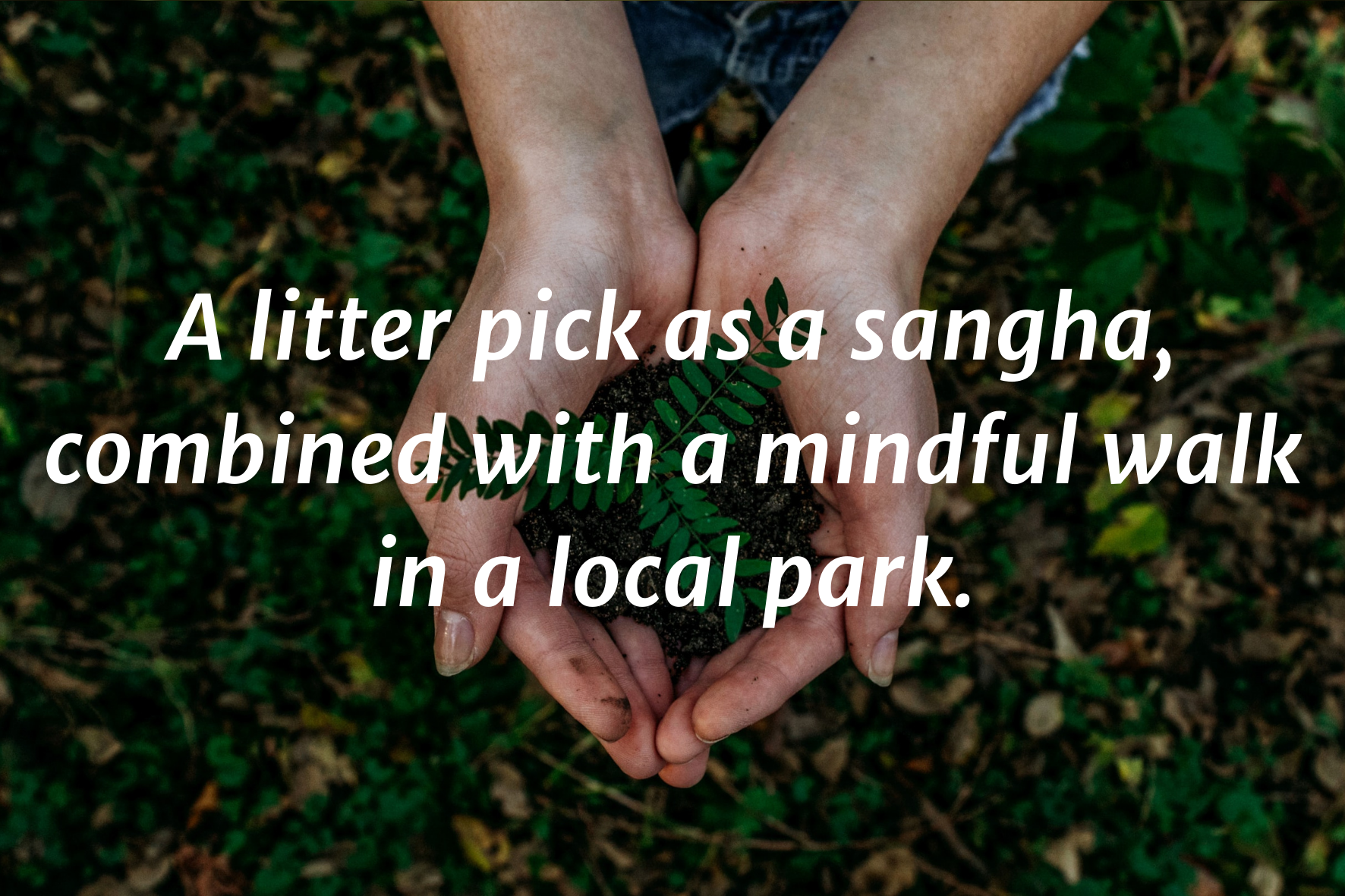 A photo of two hands cupped, holding a handful of soil and a fern seedling. Text on top saying: "A litter pick as a sangha, combined with a mindful walk in a local park" 