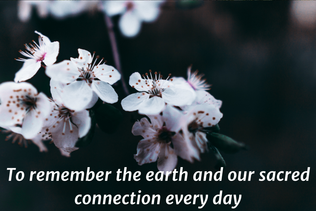 A closeup photo of white fruit blossoms. Text on top: "To remember the earth and our sacred connection every day" 