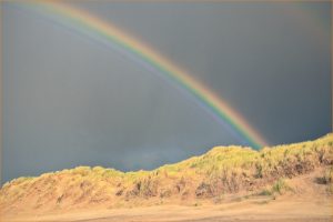 rainbow through silver sky over golden soil