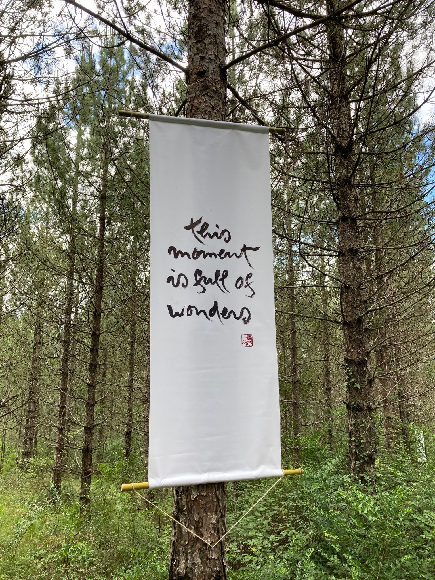 40 years of Plum Village Retreat Plum Village UK