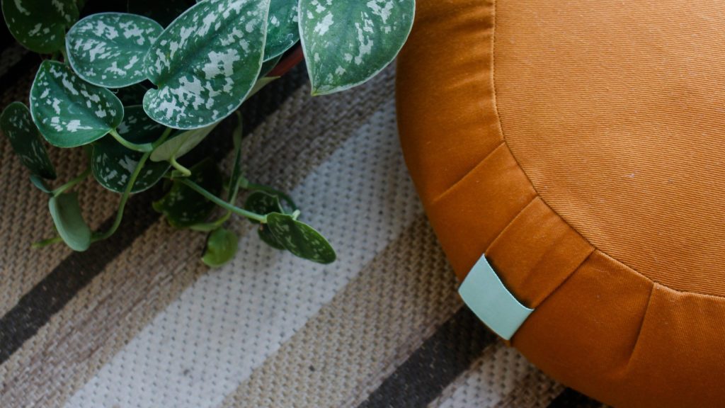 orange meditation cushion and leaves of a green plant on a beige striped carpet 