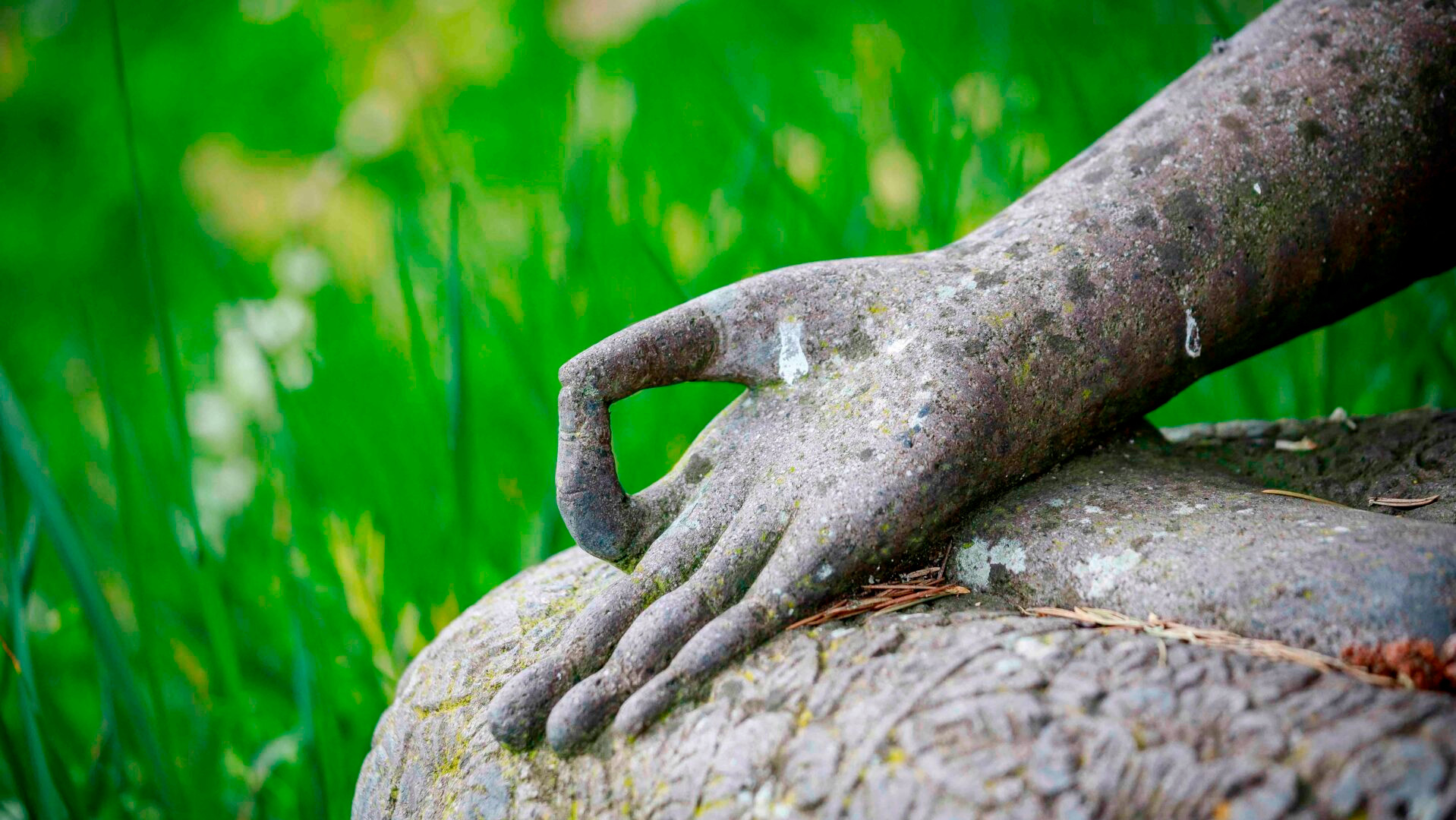 Hand of stone rupa forming a mudra with flowers in background