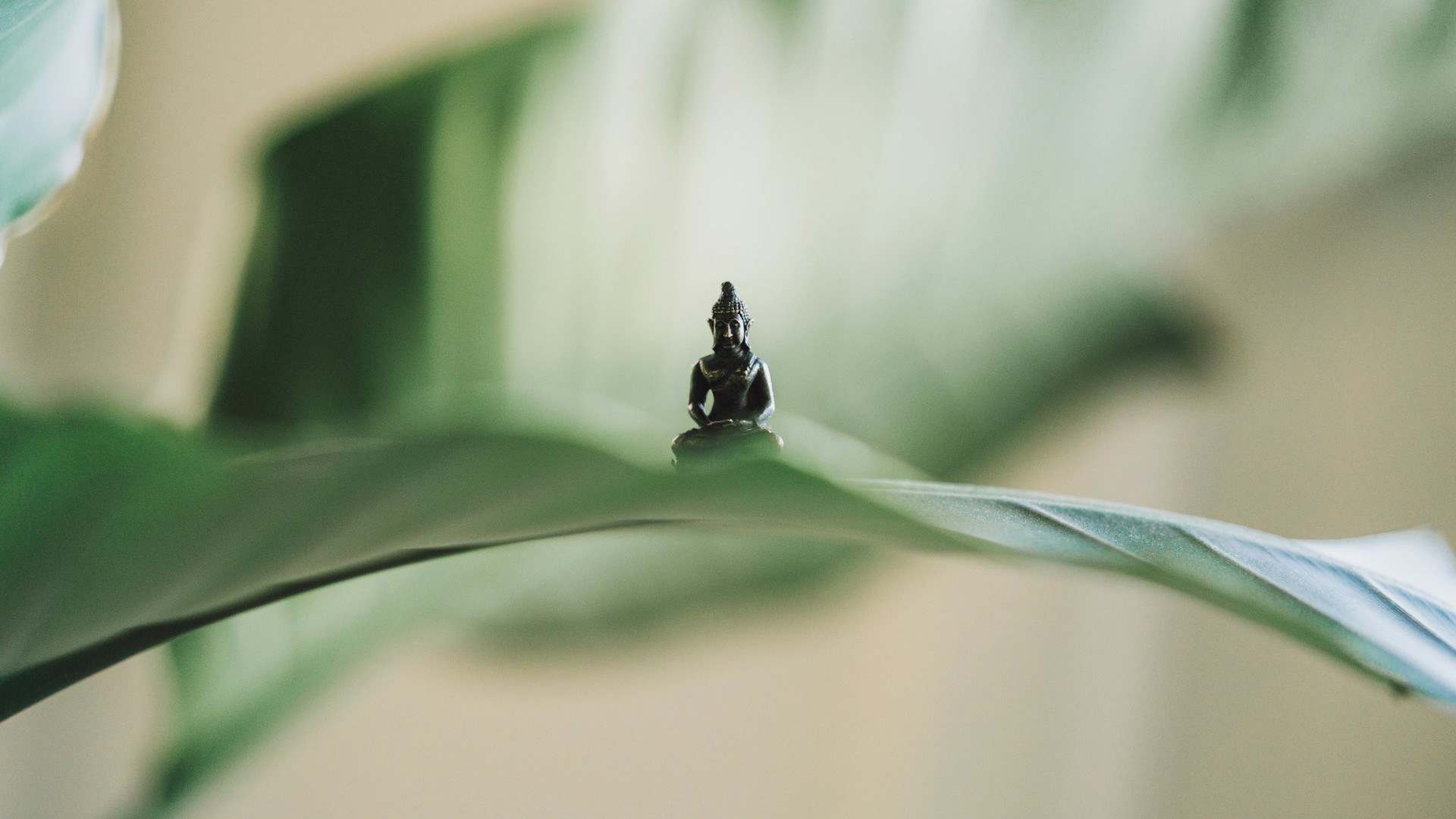 Tiny Buddha rupa sitting on a big wet leaf