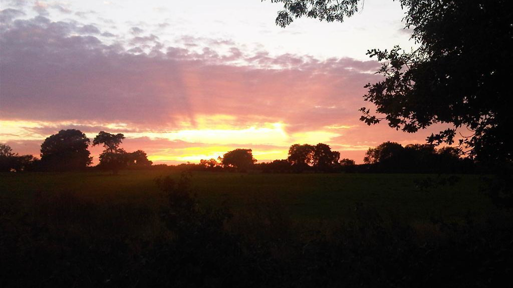 Shallowford House sunset