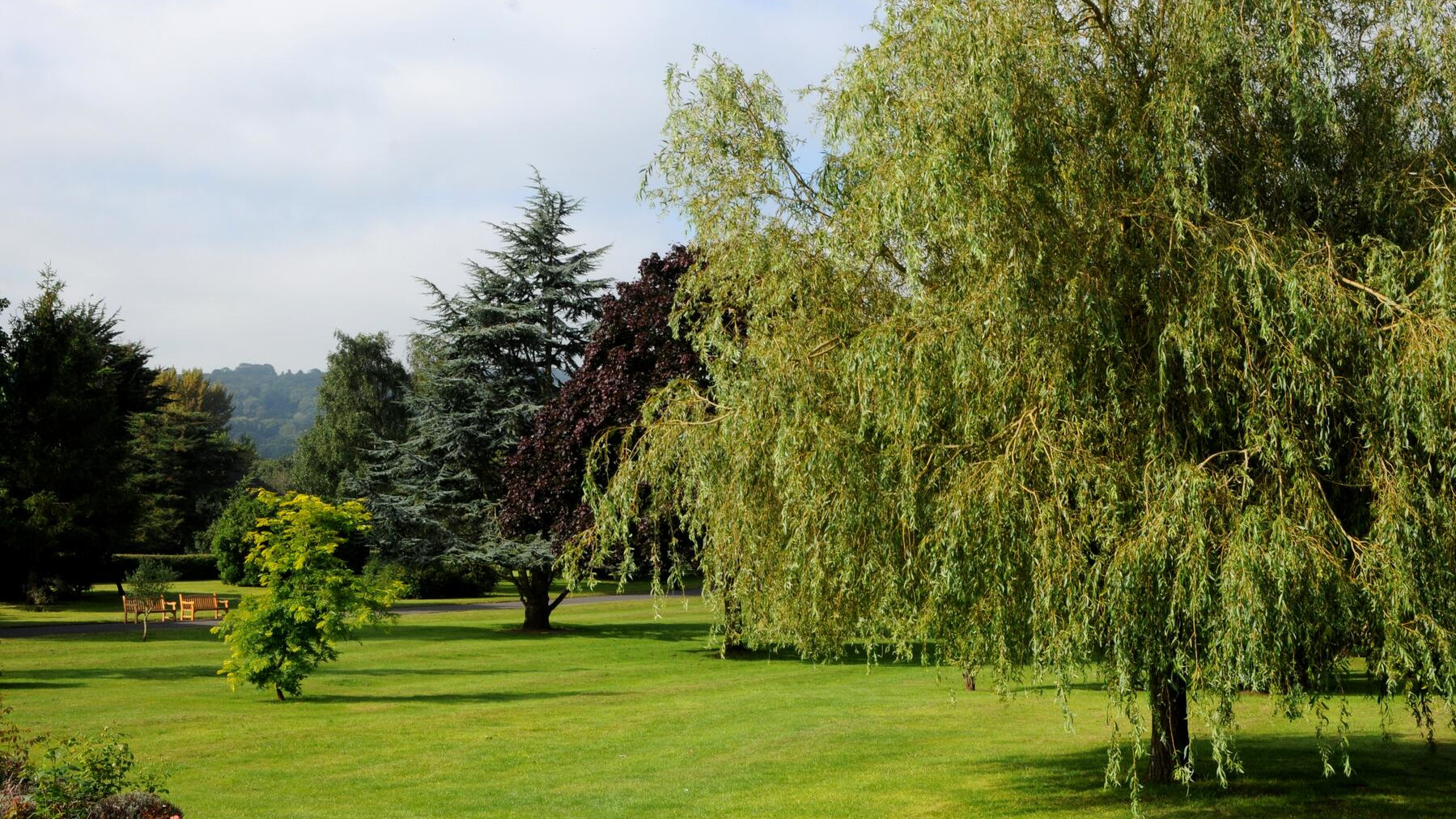 Sidcot School grounds