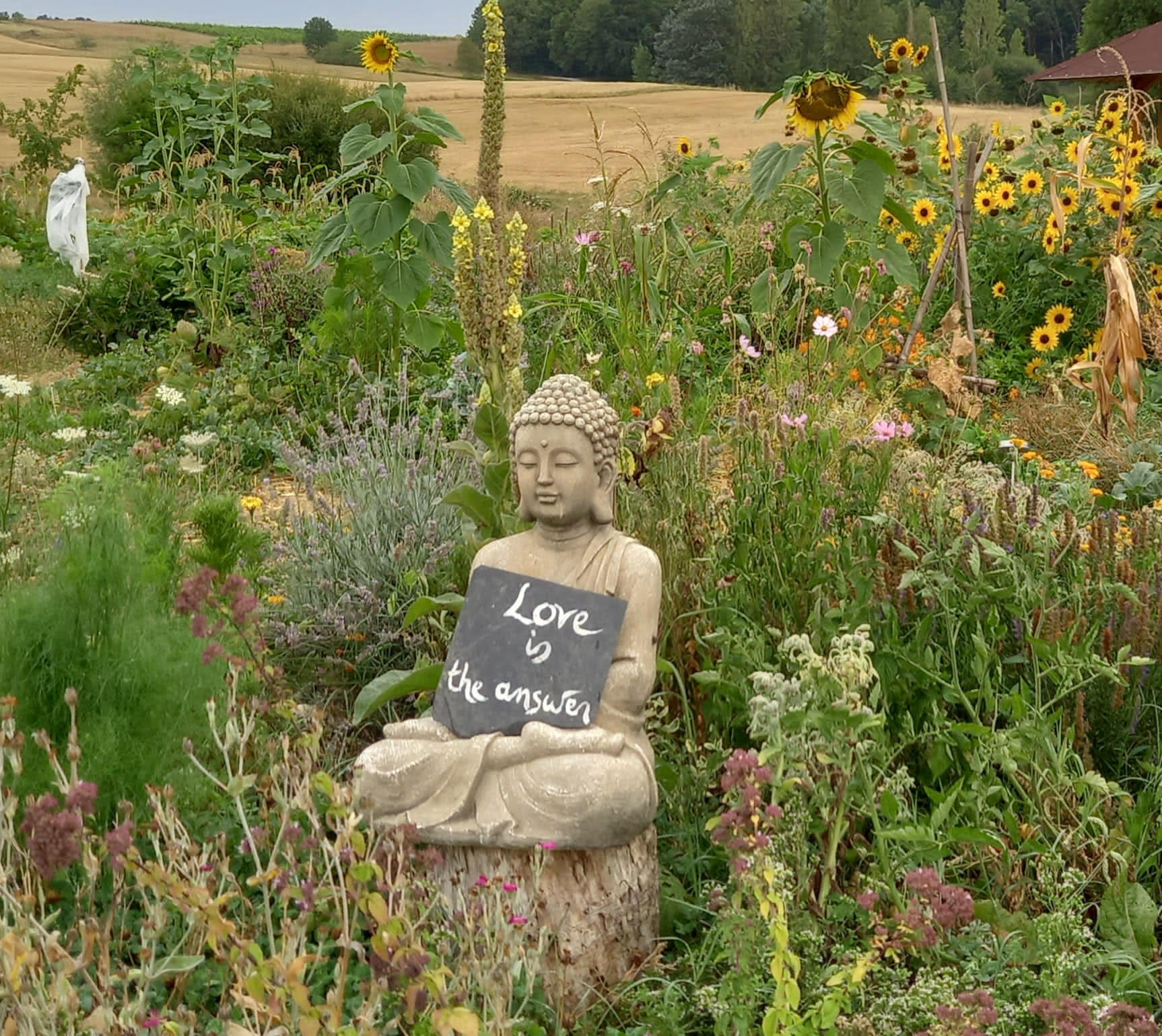 Stone buddha holding love is the answer sign