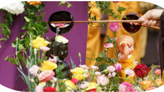 Pouring water onto colourful flowers and a baby Buddha