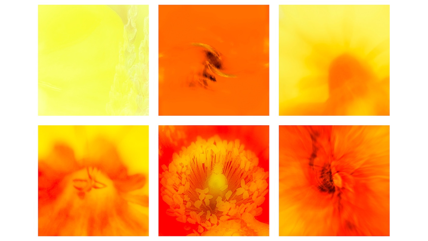 Earth Connection Polyptych
