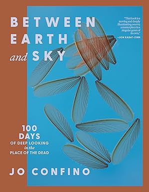 Between Earth and Sky, by Jo Confino